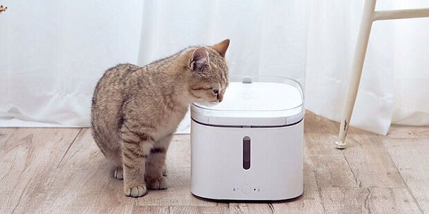Умная поилка для животных Mijia Smart Pet Water Dispenser XWWF01MG (White) - 4